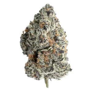 MORELATO STRAIN UK
