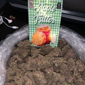 BUY APPLE FRITTER BACKPACKBOYZ ONLINE