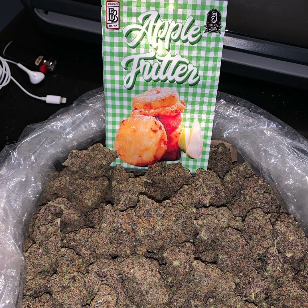 BUY APPLE FRITTER BACKPACKBOYZ ONLINE
