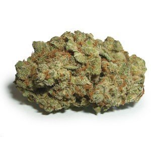 Candy Jack Strain