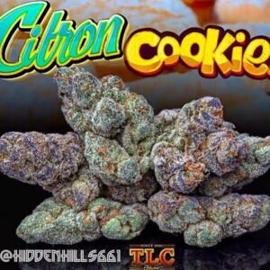 Buy Jungle Boys Citron Cookies Online