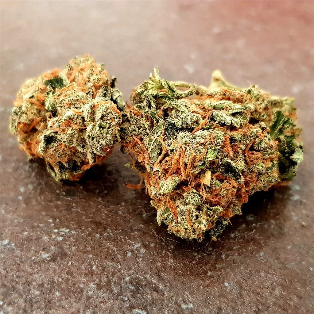 Stardawg Strain