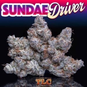 Buy Jungle Boys Sundae Driver Online