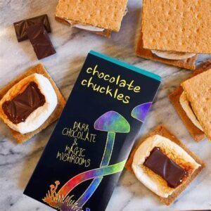 Chocolate Chuckles Bars