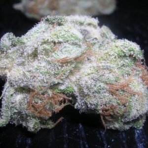 White Rhino Strain